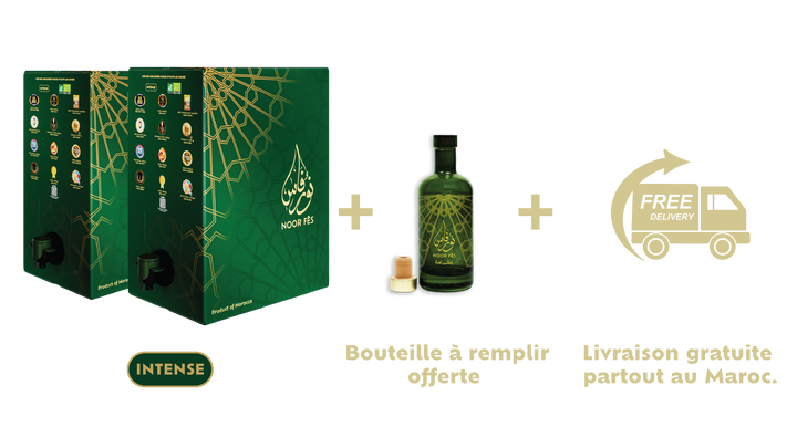 PACK DIAMANT 2 x Box 20L