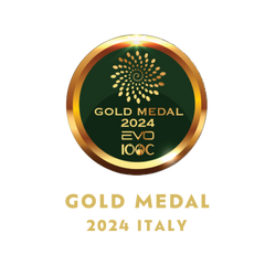 Gold Medal 2024 Noorfes