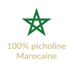 Noorfes 100 picholine marocaine