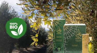 Noor Fès, une Marque d'Huile d'Olive Vierge Extra Certifiée Bio, Révolutionne  la Qualité et la Durabilité