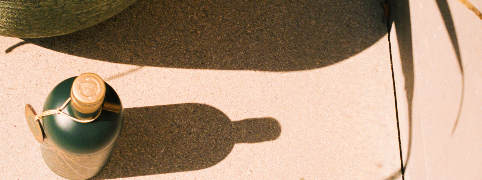 Inside the World of Noor Fès